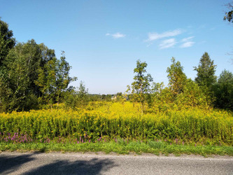 Działka stalowowolski
Bojanów
Stany Na sprzedaż 385 000 PLN 5500 m2 