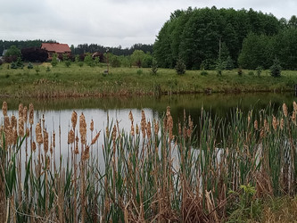 Dom piotrkowski
Ręczno
Stobnica-Piła Na sprzedaż 749 000 PLN 182 m2 