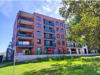 Mieszkanie łódzkie
Łódź
Śródmieście Do wynajęcia 3800 PLN 65 m2 