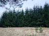 Działka warmińsko-mazurskie
iławski
Iława
Wola Kamieńska Na sprzedaż 160 000 PLN 1478 m2 