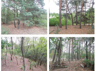 Działka mazowieckie
wołomiński
Wołomin
Wołomin Na sprzedaż 1 490 000 PLN 1659 m2 