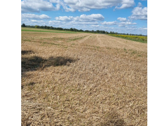 Działka dolnośląskie
średzki
Miękinia
Głoska Na sprzedaż 470 000 PLN 23 850 m2 