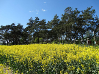 Działka zachodniopomorskie
pyrzycki
Bielice
Parsów Na sprzedaż 250 000 PLN 9800 m2 
