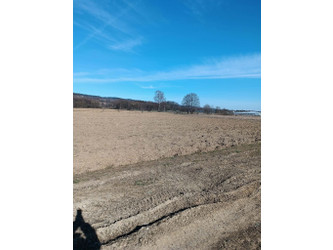 Działka podkarpackie
Krosno Na sprzedaż 136 000 PLN 800 m2 