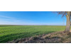Działka lubelskie
krasnostawski
Żółkiewka
Rożki-Kolonia Na sprzedaż 221 340 PLN 47 600 m2 