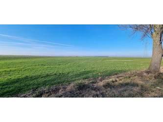 Działka lubelskie
krasnostawski
Żółkiewka
Rożki-Kolonia Na sprzedaż 221 340 PLN 47 600 m2 