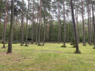 Działka łódzkie
pabianicki
Dłutów
Czyżemin Na sprzedaż 475 000 PLN 2576 m2 