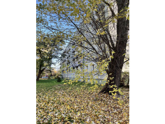 Mieszkanie łódzkie
Łódź
Widzew
Stary Widzew Na sprzedaż 389 000 PLN 45 m2 