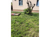 Mieszkanie kujawsko-pomorskie
Grudziądz Na sprzedaż 429 000 PLN 82,5 m2 