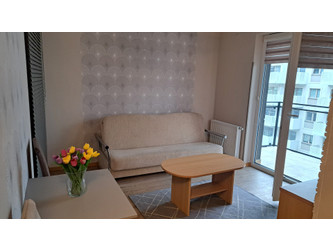 Mieszkanie świętokrzyskie
Kielce Do wynajęcia 1600 PLN 26 m2 