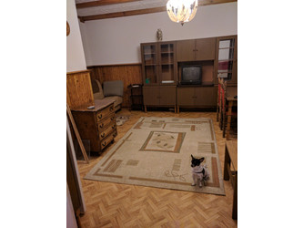 Mieszkanie łódzkie
Łódź
Polesie Do wynajęcia 1300 PLN 31 m2 