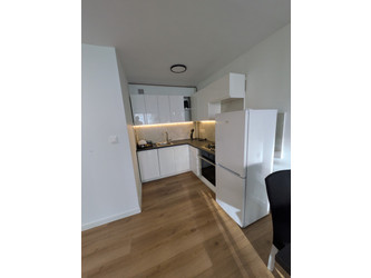 Mieszkanie śląskie
Gliwice Do wynajęcia 2100 PLN 42 m2 