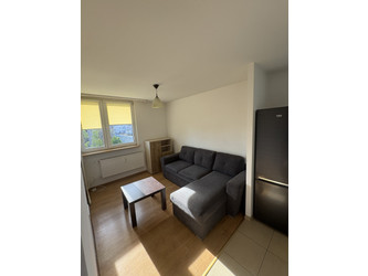 Mieszkanie opolskie
Opole Do wynajęcia 2350 PLN 48 m2 