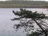 Działka pomorskie
kartuski
Sulęczyno
Borek Na sprzedaż 504 000 PLN 4200 m2 
