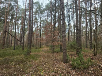 Działka mazowieckie
sokołowski
Sokołów Podlaski
Przywózki Na sprzedaż 8411 PLN 3305 m2 