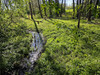 Działka mazowieckie
pułtuski
Obryte
Zambski Stare Na sprzedaż 329 000 PLN 9428 m2 
