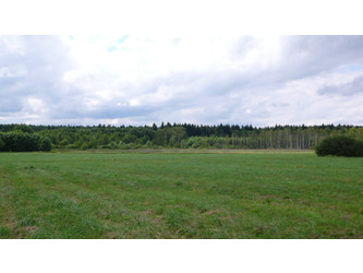 Działka dolnośląskie
wołowski
Brzeg Dolny
Jodłowice Na sprzedaż 2 180 000 PLN 168 300 m2 