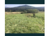Działka małopolskie
suski
Zawoja
Hucisko Na sprzedaż 134 PLN 2890 m2 