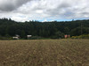 Działka małopolskie
krakowski
Skała
Minoga Na sprzedaż 210 000 PLN 3000 m2 