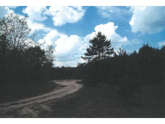 Działka łódzkie
piotrkowski
Sulejów
Sulejów Na sprzedaż 462 280 PLN 7112 m2 