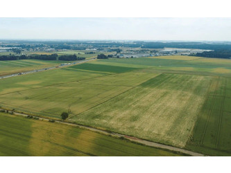 Działka mazowieckie
wołomiński
Radzymin
Radzymin Na sprzedaż 2 400 000 PLN 8000 m2 