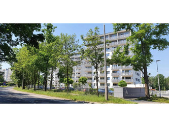 Mieszkanie łódzkie
Łódź
Śródmieście Do wynajęcia 2200 PLN 33,5 m2 