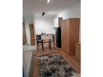 Mieszkanie lubelskie
Lublin
Rury
LSM Do wynajęcia 2299 PLN 33 m2 