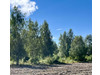 Działka łódzkie
łowicki
Nieborów
Bełchów Na sprzedaż 149 000 PLN 1161 m2 