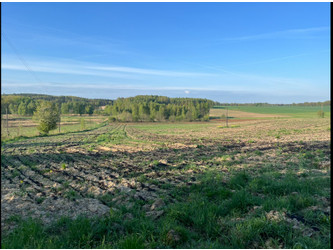 Działka dolnośląskie
zgorzelecki
Zgorzelec
Białogórze Na sprzedaż 115 000 PLN 1380 m2 