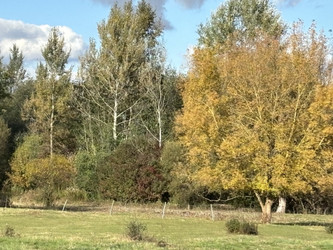 Działka mazowieckie
Warszawa
Białołęka Na sprzedaż 2 950 000 PLN 41 500 m2 