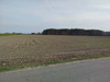 Działka mazowieckie
nowodworski
Nasielsk
Malczyn Na sprzedaż 120 000 PLN 2000 m2 