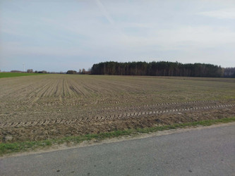 Działka mazowieckie
nowodworski
Nasielsk
Malczyn Na sprzedaż 120 000 PLN 2000 m2 