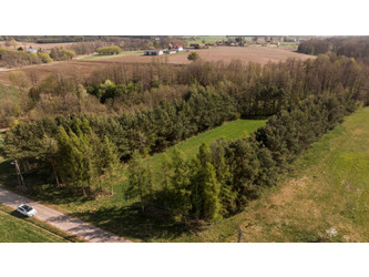 Działka mazowieckie
pułtuski
Obryte
Zambski Stare Na sprzedaż 329 000 PLN 9428 m2 