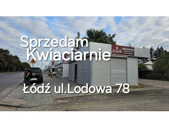 Przemysłowy łódzkie
Łódź
Widzew Na sprzedaż 350 000 PLN 50 m2 