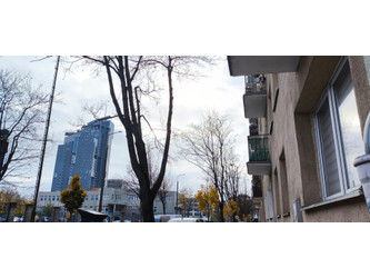 Mieszkanie pomorskie
Gdynia
Śródmieście Do wynajęcia 2500 PLN 47 m2 