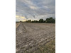 Działka łódzkie
łowicki
Nieborów
Bobrowniki Na sprzedaż 90 000 PLN 890 m2 