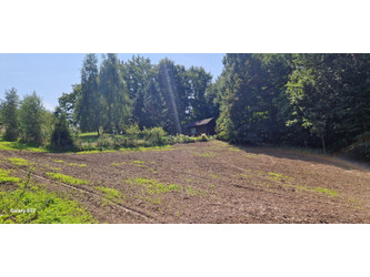 Działka śląskie
Jastrzębie-Zdrój
Ruptawa Na sprzedaż 115 000 PLN 1130 m2 