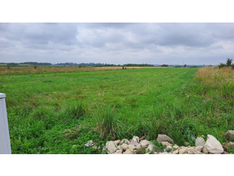 Działka świętokrzyskie
buski
Busko-Zdrój
Kawczyce Na sprzedaż 133 000 PLN 1463 m2 