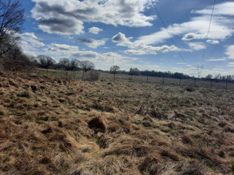 Działka lubelskie
rycki
Dęblin Na sprzedaż 750 000 PLN 32 207 m2 