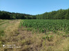 Działka dolnośląskie
wołowski
Wińsko
Kozowo Na sprzedaż 307 200 PLN 6400 m2 