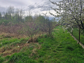 Działka małopolskie
Nowy Sącz Na sprzedaż 1 849 000 PLN 4383 m2 