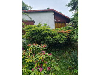 Działka łódzkie
Piotrków Trybunalski Na sprzedaż 55 000 PLN 300 m2 