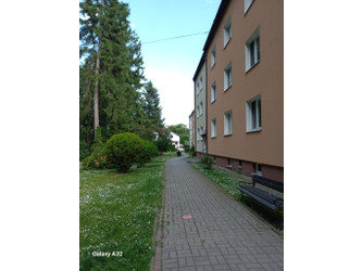 Mieszkanie lubelskie
lubelski
Strzyżewice
Pszczela Wola Na sprzedaż 355 000 PLN 75,4 m2 