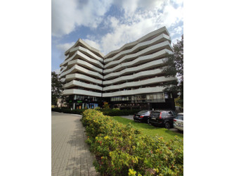 Mieszkanie mazowieckie
Warszawa
Mokotów Do wynajęcia 3900 PLN 36 m2 