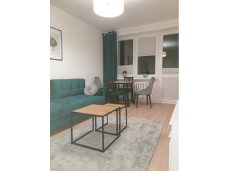 Mieszkanie mazowieckie
Warszawa
Praga-Południe Do wynajęcia 2500 PLN 24 m2 