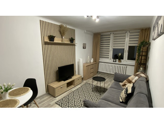 Mieszkanie śląskie
Sosnowiec
Pogoń Do wynajęcia 1800 PLN 38 m2 