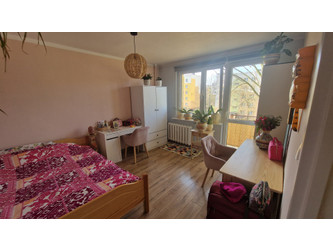 Mieszkanie świętokrzyskie
Kielce Do wynajęcia 1100 PLN 29 m2 