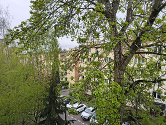 Mieszkanie małopolskie
Kraków
Bronowice Do wynajęcia 1950 PLN 23 m2 