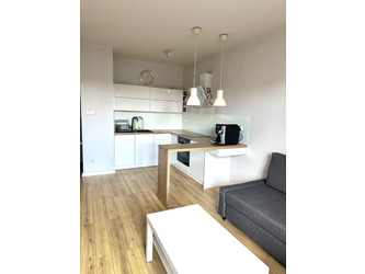 Mieszkanie zachodniopomorskie
Szczecin
Centrum Do wynajęcia 2500 PLN 32 m2 