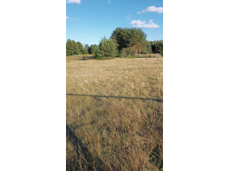 Działka kujawsko-pomorskie
włocławski
Kowal
Dębniaki Na sprzedaż 100 000 PLN 1470 m2 